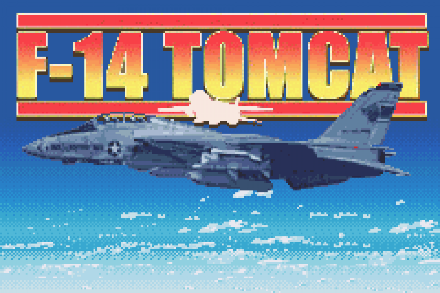F-14 Tomcat